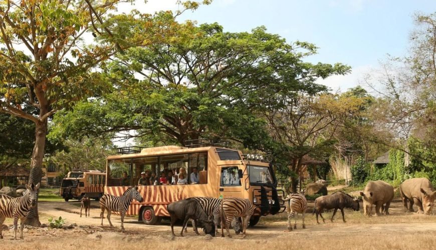 Must-do Activities at Bali Safari & Marine Park